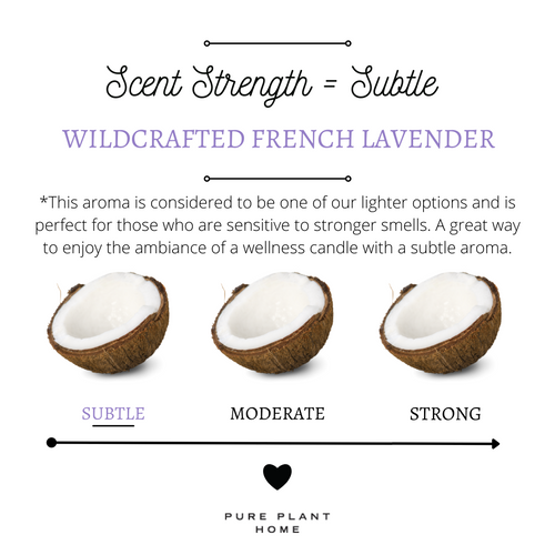 3 oz Small Silver Tin Wildcrafted French Lavender Coconut Wax w/real essential oils - 2