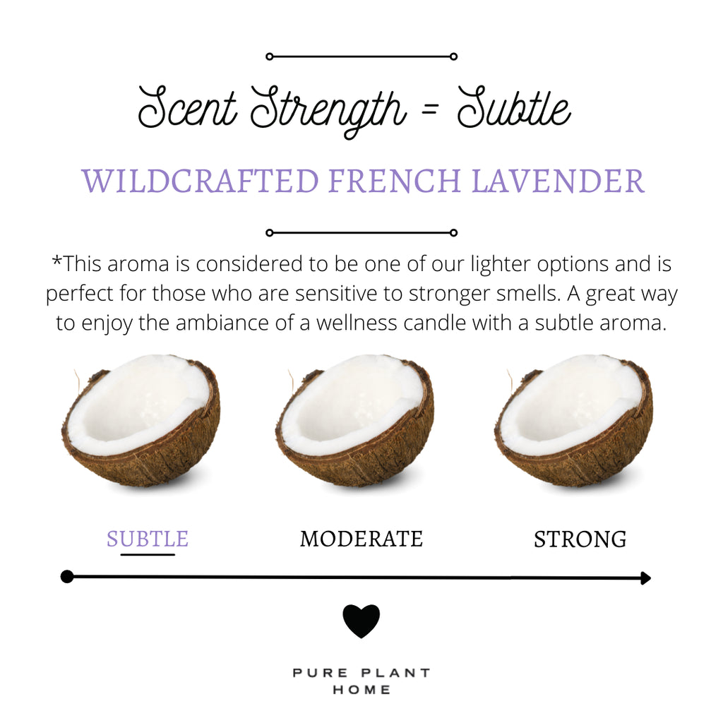 5.5 oz Recycled Purple Glass Wildcrafted French Lavender - 2