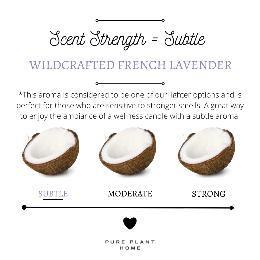 3.1 oz Small Amber Apothecary Jar Wildcrafted French Lavender Coconut Wax w/real essential oils - 2