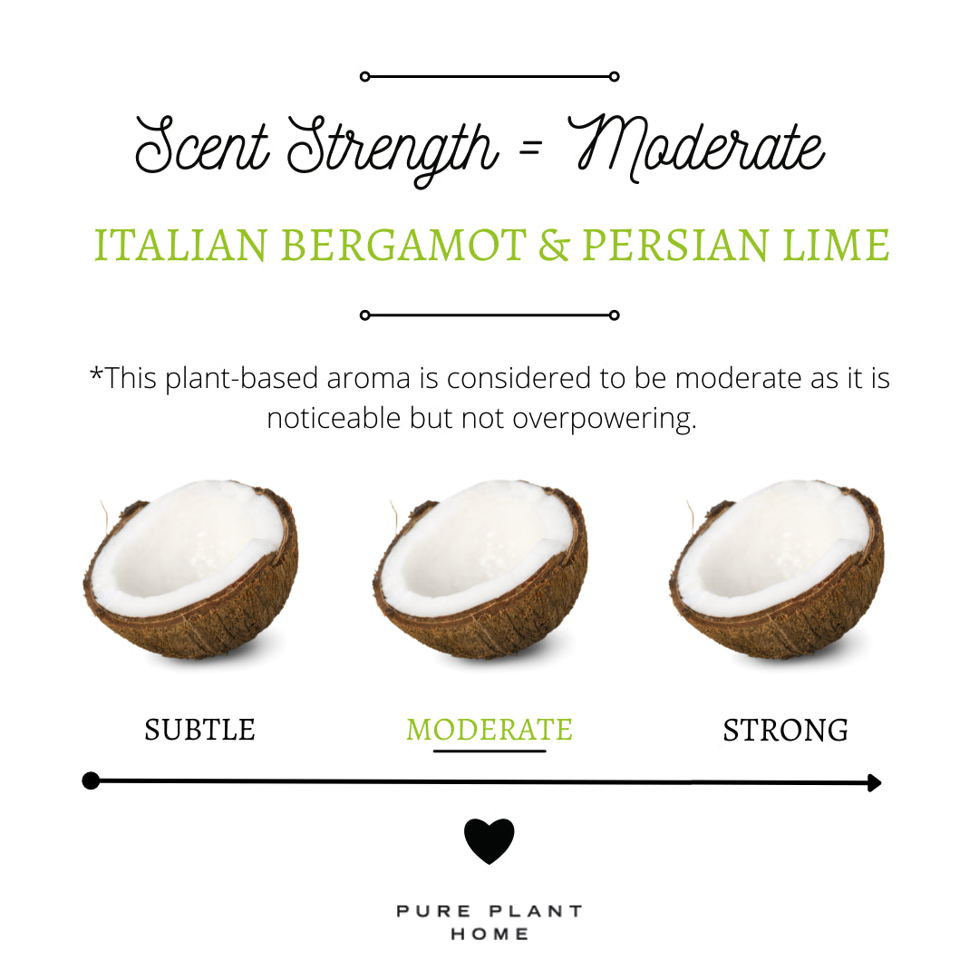 1.5 oz Silver Tin Italian Bergamot & Persian Lime - 2
