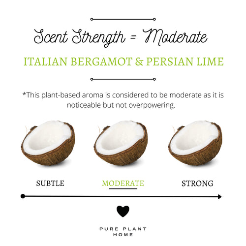 3 oz Small Silver Tin Italian Bergamot/Persian Lime - 2