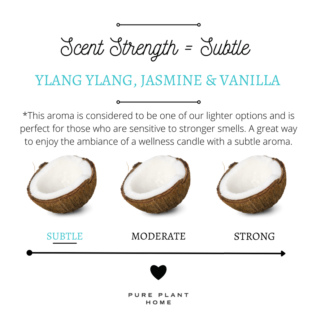 4.4 oz Medium Silver Tin Ylang Ylang/Jasmine/Vanilla - 2