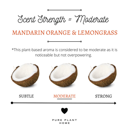 3 oz Small Silver Tin Mandarin Orange/Lemongrass Coconut Wax w/real essential oils - 2