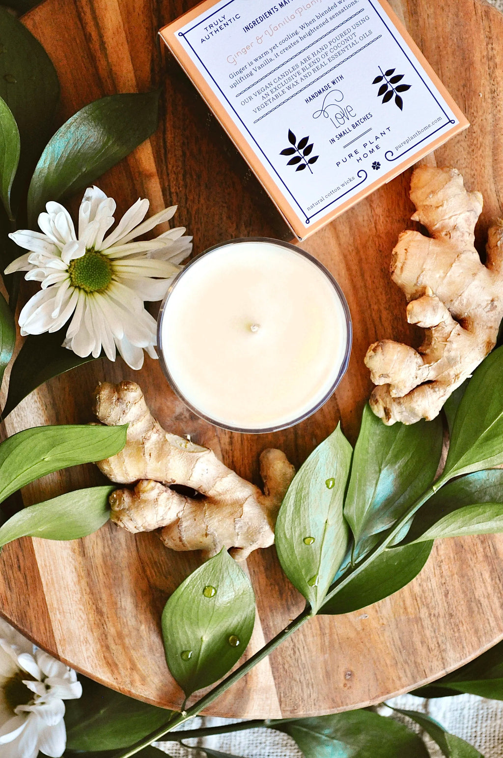 6 oz Gift Box Glass Ginger/Vanilla - 5