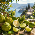 Italian Bergamot & Persian Lime