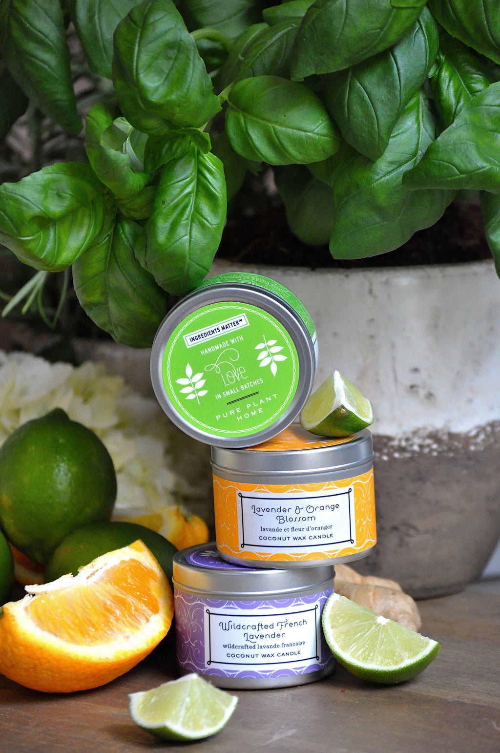Non-Toxic Spring Tin Set