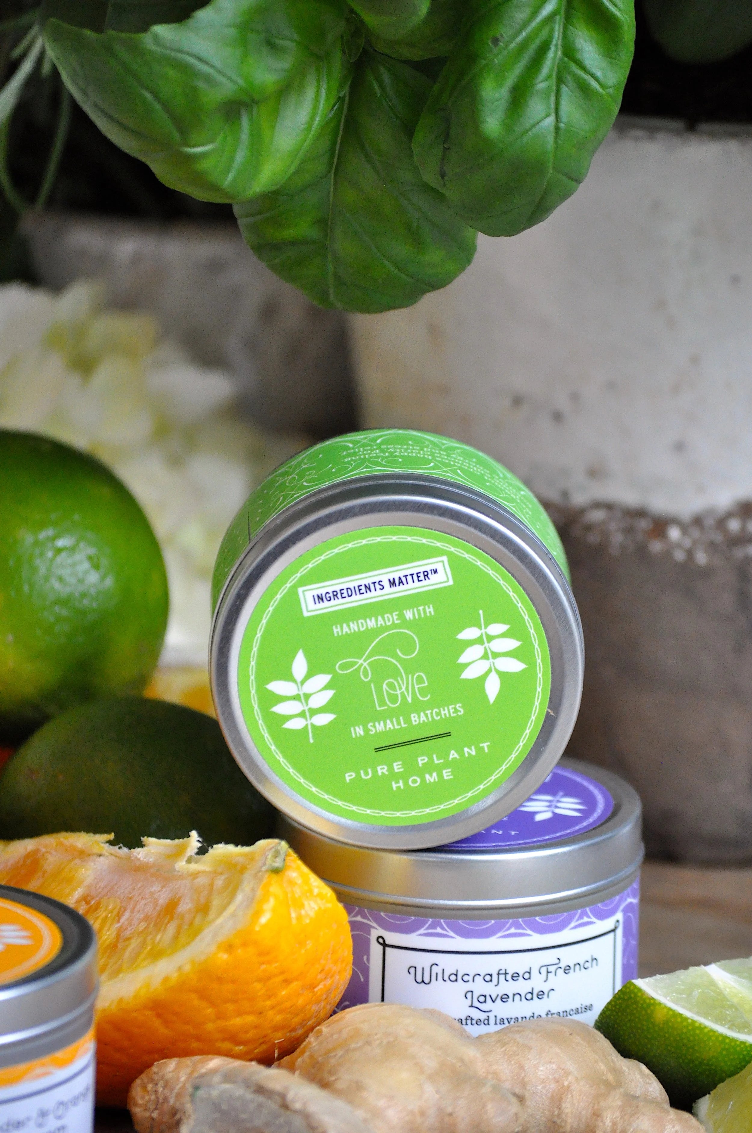Non-Toxic Spring Tin Set - 2
