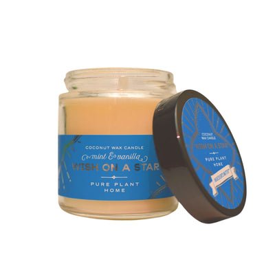 3.1 oz Holiday Clear Apothecary Jar Mint/Vanilla (Wish On A Star)