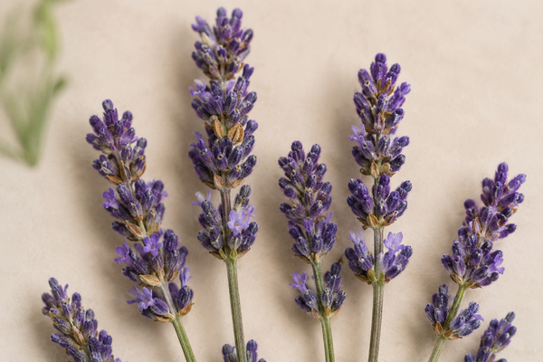 Calming Florals
