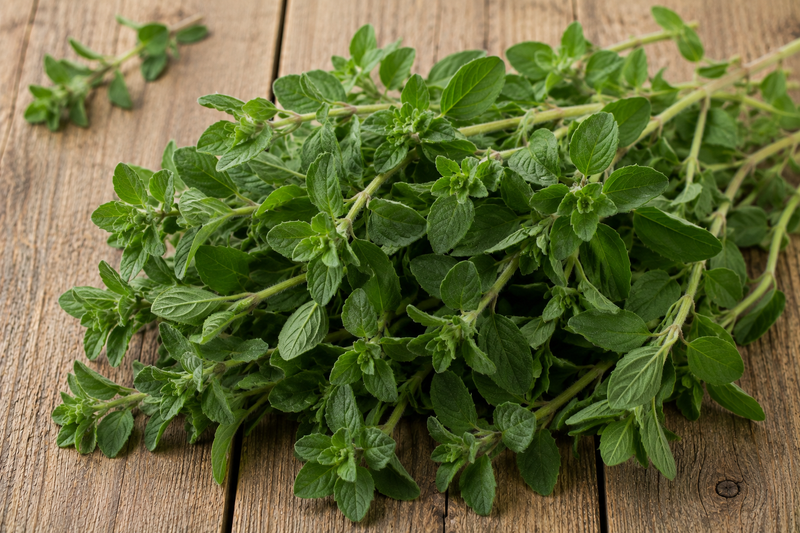 Marjoram