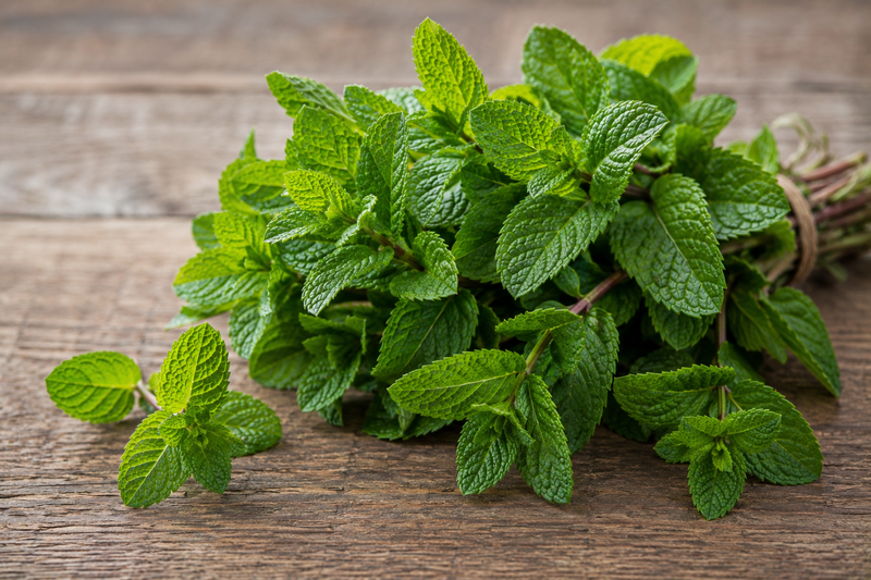 Spearmint