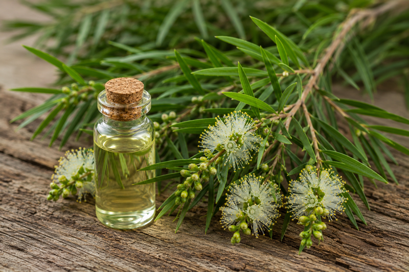 Tea Tree